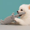 Eurilo™ KnotRope – Durable Cotton Chew Toy for Small & Medium Dogs