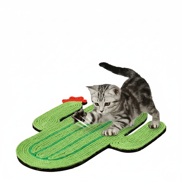 Eurilo™ Cactus Scratch Pad – Hanging No-Mess Claw Board for Cats